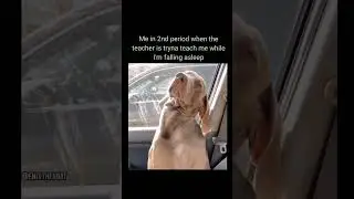 Beuford got a hangover 😭😭  #blowup #viral #viralshorts #fyp #viralvideo #funny