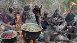 Meet Hadzabe : The Baboon Monkey Eating Tribe Ways Of Living | African Village Life