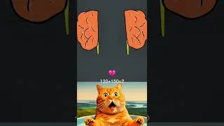 Short Circuit Human Brain💝🥰 #popularshorts #hitshort #virialshort #Catsroarworld69