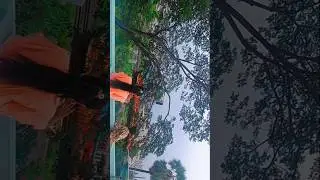 tuniga tuniga song #trendingvideo #please_subscribe_my_channel #@Asfiblogs28