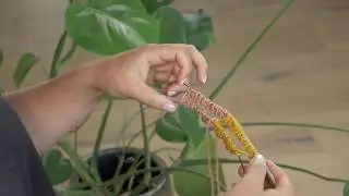 Tuto: Tricoter des chaussettes - Monter deux chaussettes en même temps - Veritas
