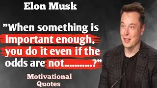 elon musk 10 rules for success and happiness | motivational quotes |
