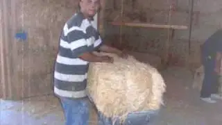 Rockin Out the Strawbale House