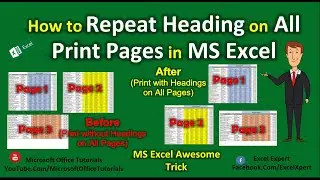 Repeat Heading (Specific Rows) on all Print Pages in MS Excel | Excel Tutorial | Excel for Beginners
