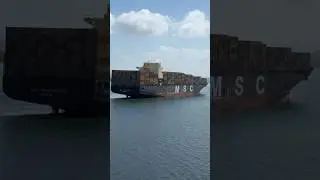 Mafia Msc container ship..🚢&hearts;️#msc #mafiya #mafia #containership #short #views #subscribe #viralvideo