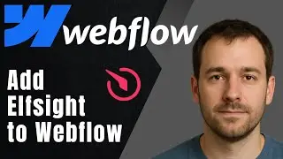 Webflow: How to Add Elfsight Widgets (Instagram, Reviews, Popups & More)