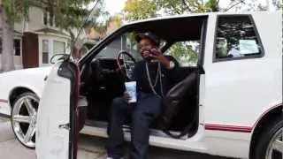 Bird Money - Consistency