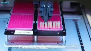 Pipette Tip Sorting Device For 10ul And 200ul Tip - High Throughput 40~48 Boxes/H Pipette Tip Refill