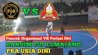 PO VS PD | PRA USIA DINI | DANDIM CUP LUMAJANG 2023 #kejurkab #pencakorganisasi #perisaidiri #ipsi