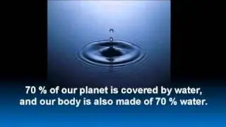 What are Scalar Waves?
