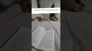 Reading as enrichment!