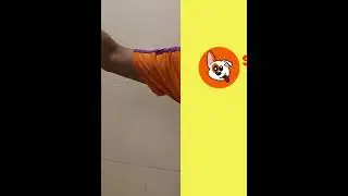 Dog Grooming Ad  3000 x 4000