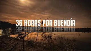36 HORAS POR BUENDÍA