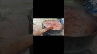 Vídeo aleatório 