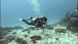 Small Sister, Seychelles, Enero de 2026