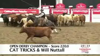 Open Derby Champion - CAT TRICKS