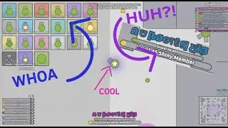 NEW SHINY MEMBER!?! Arras diss update NEW WIP shiny member (TANK REVIEW)