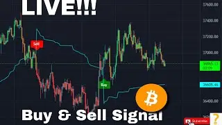 #Bitcoin LIVE STREAM l Buy & Sell Signal... l Question Mark