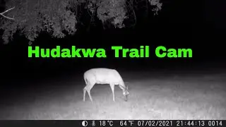 Hudakwa Trail Camera Review (2021)