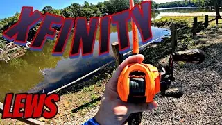 Lews xfinity Baitcaster Combo