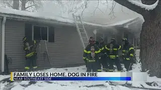 4 people injured, 1 dog killed in Indy house fire