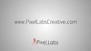 Working with Pixel Labs: What it's Like