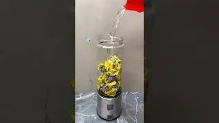 Making Mango Flower Jelly juice in Mini Blender 🍷😋