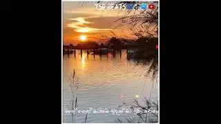 Punchi samanali (Tsr Beats Remix) #shorts #sinhalaremix #tsrbeats