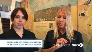 OUTNABOUT | John James Audubon Center at Mill Grove