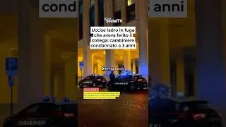 Uccise ladro in fuga che aveva ferito il collega: carabiniere condannato a 3 anni (RICOSTRUZIONE)
