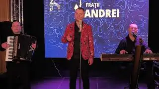 Fratii Andrei - Mi-e dor de chipul tău
