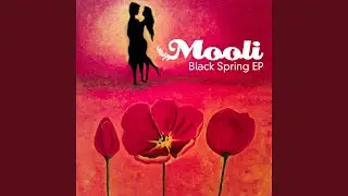 Black Spring (feat. Hannah Bradbeer)