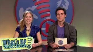 Don't Even Bother | What's Up Warthogs! | WEBCAST