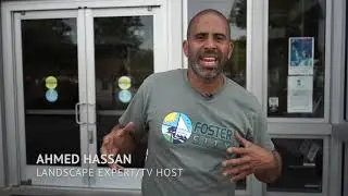 Foster City I Beautification Project
