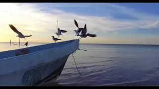 Holbox 4K Drone