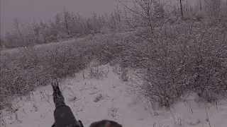 18.11.2024 Тайах көрдөөн хааман кэллим