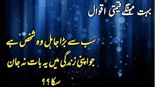 Sab Se Bra Jahil kon He | Quotes About Life Lessons | Best Urdu Quotes | Ilam Ki Dunia