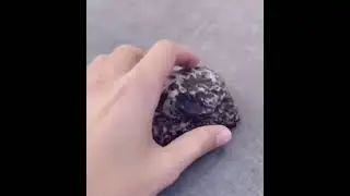 Fake Stone Spare Key Hidden Garden Box offers an excellent way to hide a key outside