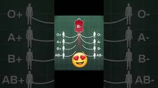 &ldquo;Blood Group Explained in 30 Seconds🩸 | Pharmacy Students Must Watch!&rdquo; #viral #shorts #shortvideo