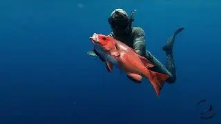 BLUE WATER SPEARFISHING [We spear a Marlin]