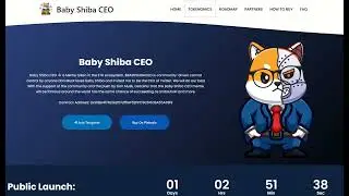 Baby Shiba CEO coin of the day we will discuss.