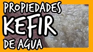 🥇Propiedades del KEFIR de AGUA🩺