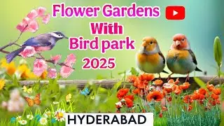 HYDERABAD Best film shooting place with||Flowers Gardens And Bird park||Verity Place Gardens||etc