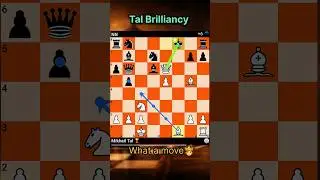 Mikhail Tal Immortal Game 🔥🎩🪄 #chess #chessplayer #chessgame #hindichess