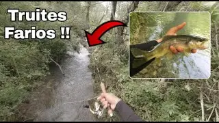 Surprises, Ruisseau Oublié, TRUITES FARIOS  - Pêche de la Truite à la cuillère (HD)