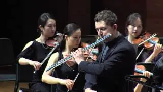 J. Sibelius: Violin Concerto in D minor, op. 47. I. Allegro moderato (arr. by D. Bouriakov)