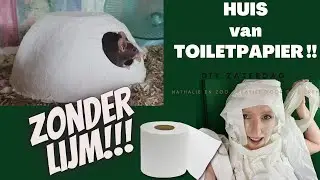 HUIS VAN TOILETPAPIER zonder lijm! (de eerste DIY zaterdag!)