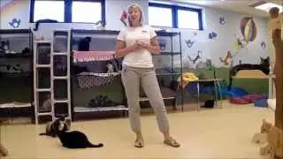 Feline Queens: our Ladies of Distinction!