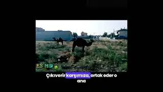 Gülümse Karapınar Şarkısı