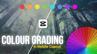How to do Colour Grading in Capcut in Telugu !